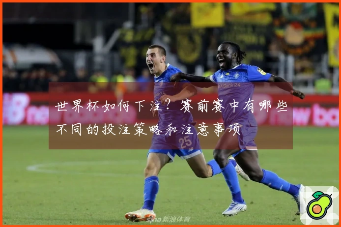 世界杯如何下注？赛前赛中有哪些不同的投注策略和注意事项