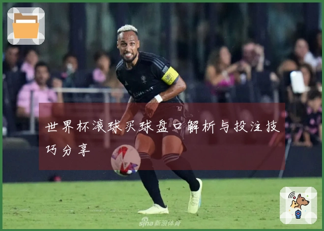 世界杯滚球买球盘口解析与投注技巧分享