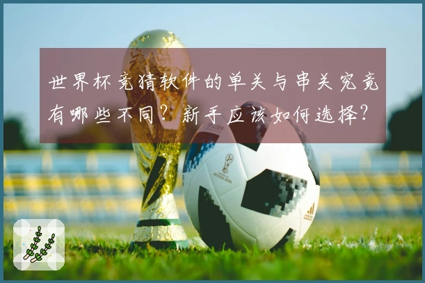 世界杯竞猜软件的单关与串关究竟有哪些不同？新手应该如何选择？