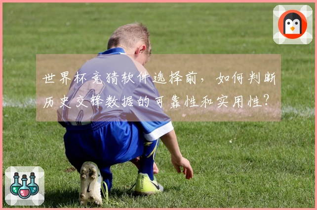 世界杯竞猜软件选择前，如何判断历史交锋数据的可靠性和实用性？
