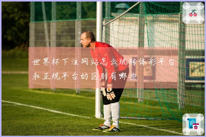 世界杯下注网站怎么玩转体彩平台和正规平台的区别有哪些
