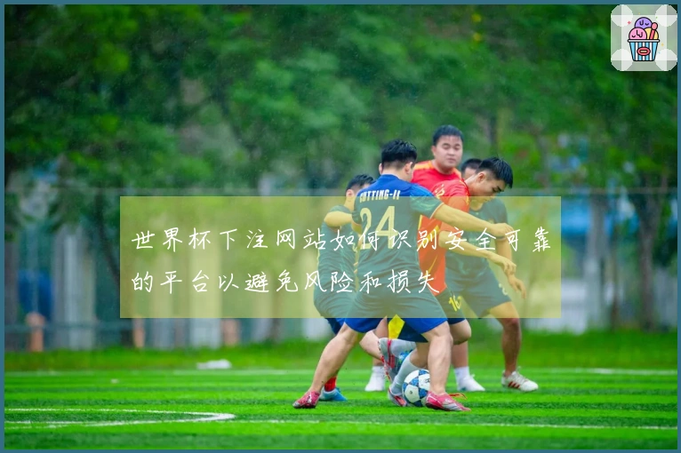 世界杯下注网站如何识别安全可靠的平台以避免风险和损失