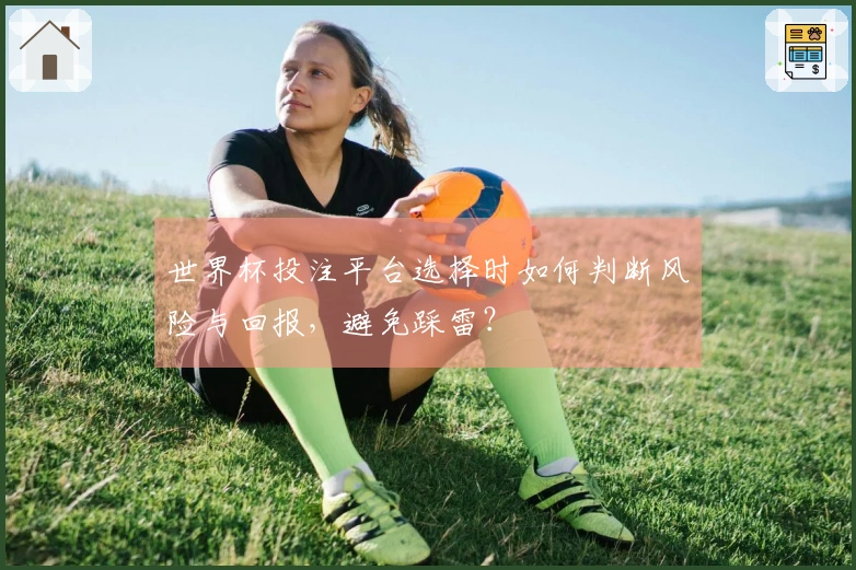 世界杯投注平台选择时如何判断风险与回报，避免踩雷？