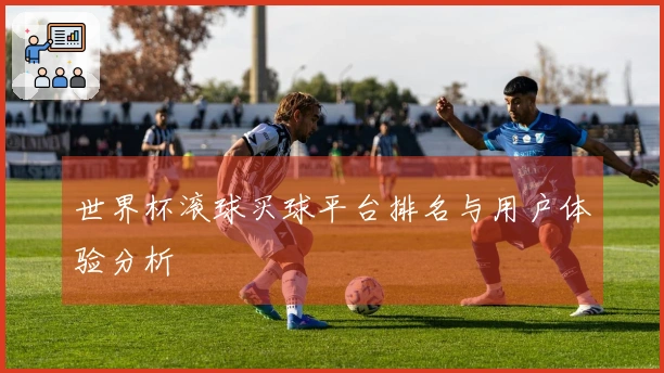 世界杯滚球买球平台排名与用户体验分析