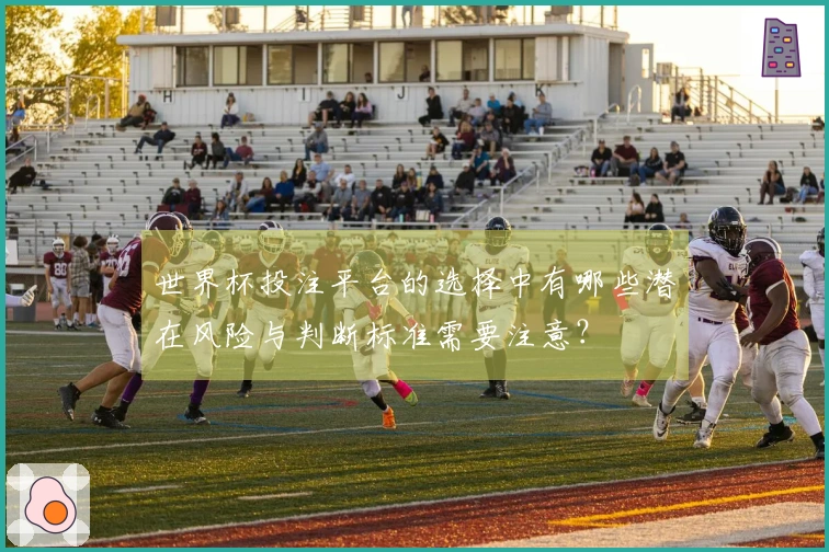 世界杯投注平台的选择中有哪些潜在风险与判断标准需要注意？