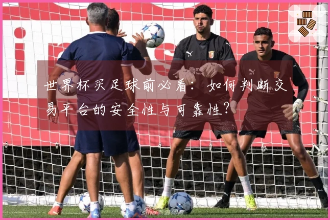 世界杯买足球前必看：如何判断交易平台的安全性与可靠性？
