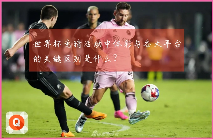 世界杯竞猜活动中体彩与各大平台的关键区别是什么？