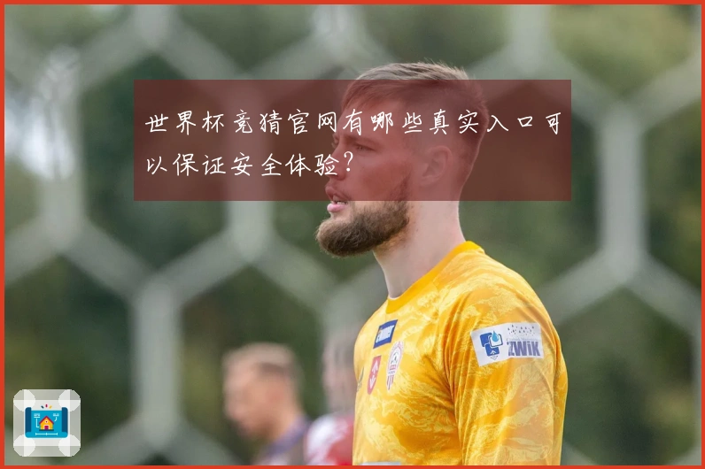 世界杯竞猜官网有哪些真实入口可以保证安全体验？