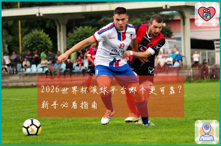 2026世界杯滚球平台哪个更可靠？新手必看指南