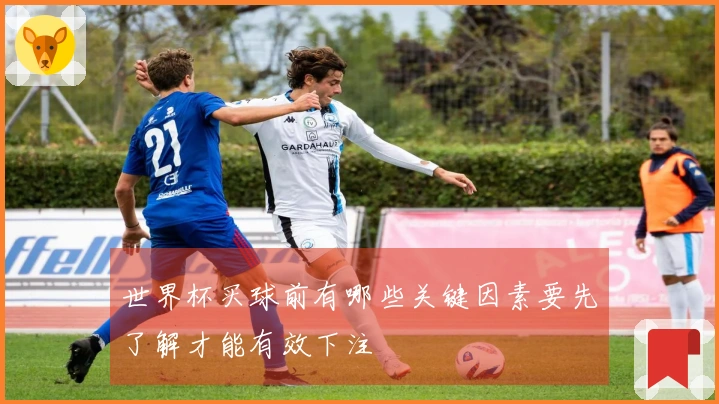 世界杯买球前有哪些关键因素要先了解才能有效下注