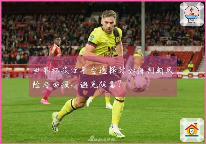 世界杯投注平台选择时如何判断风险与回报，避免踩雷？