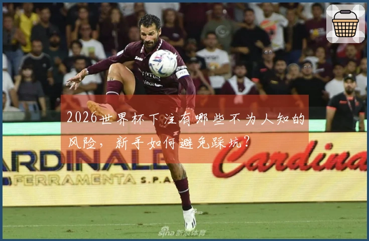 2026世界杯下注有哪些不为人知的风险，新手如何避免踩坑？