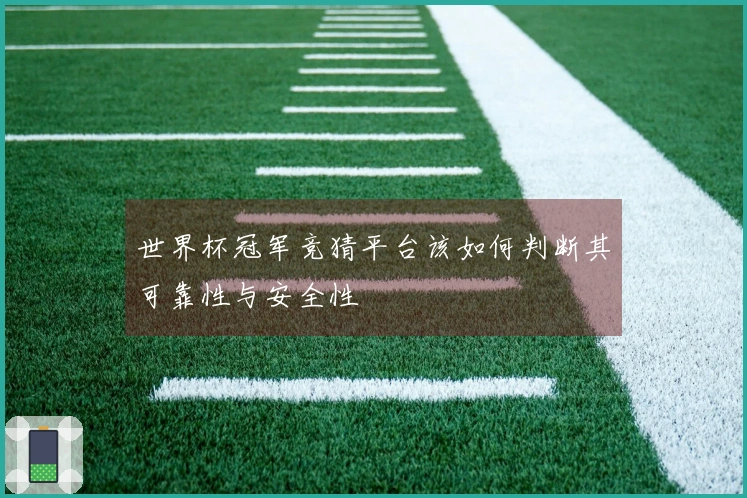 世界杯冠军竞猜平台该如何判断其可靠性与安全性