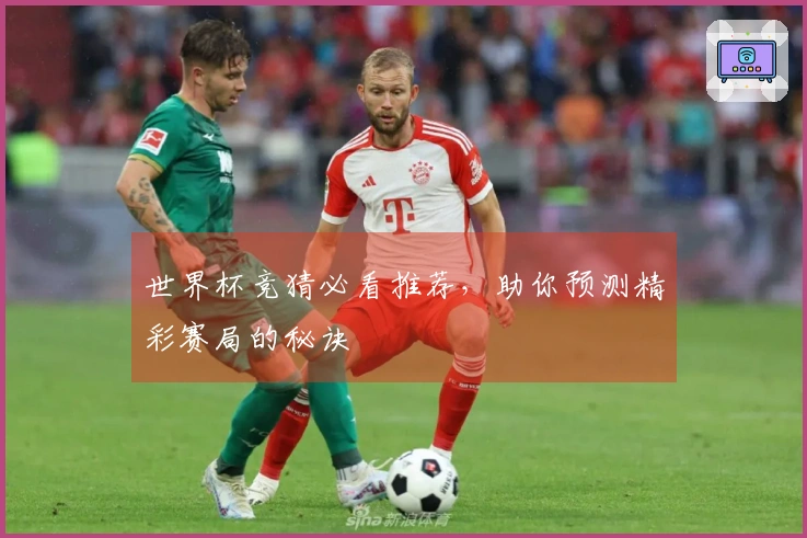 世界杯竞猜必看推荐，助你预测精彩赛局的秘诀