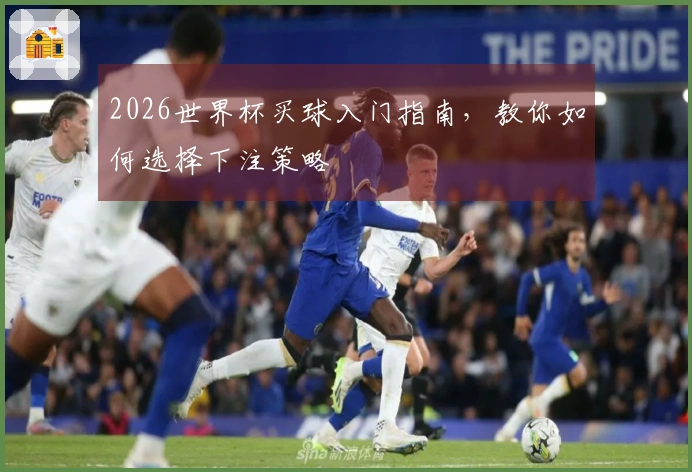 2026世界杯买球入门指南，教你如何选择下注策略