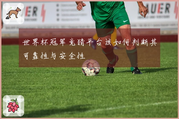 世界杯冠军竞猜平台该如何判断其可靠性与安全性