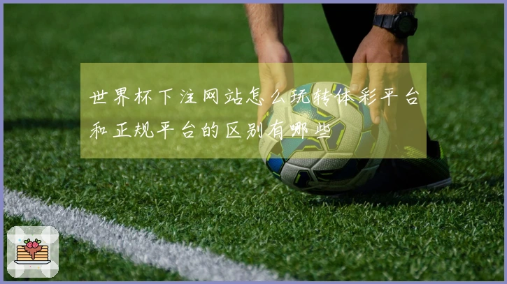 世界杯下注网站怎么玩转体彩平台和正规平台的区别有哪些