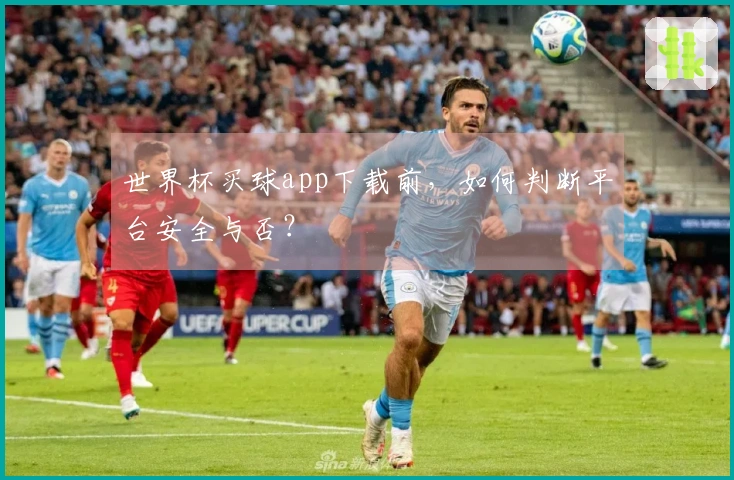 世界杯买球app下载前，如何判断平台安全与否？