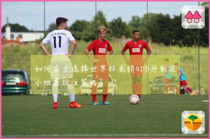 如何安全选择世界杯竞猜app并制定小组赛投注策略？
