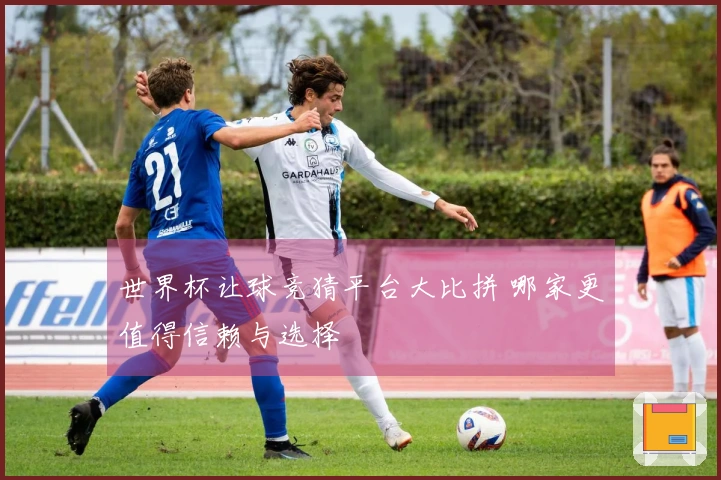 世界杯让球竞猜平台大比拼 哪家更值得信赖与选择