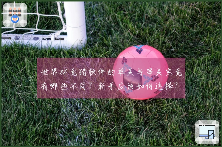 世界杯竞猜软件的单关与串关究竟有哪些不同？新手应该如何选择？